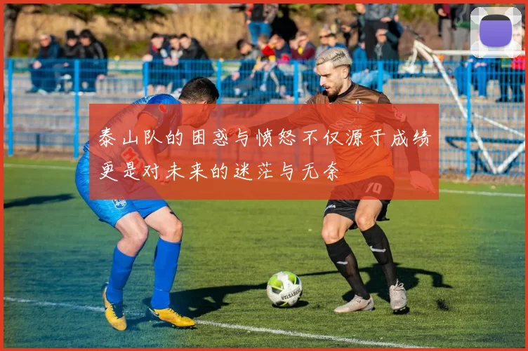 泰山队的困惑与愤怒不仅源于成绩更是对未来的迷茫与无奈