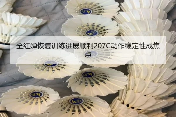 全红婵恢复训练进展顺利207C动作稳定性成焦点